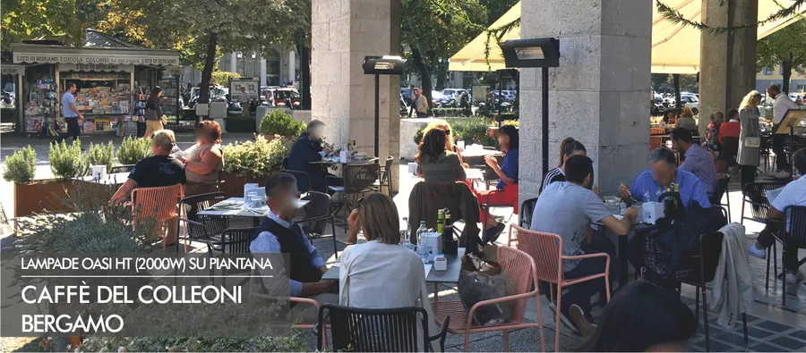Oasi su piantana al Caffe del Colleoni di Bergamo